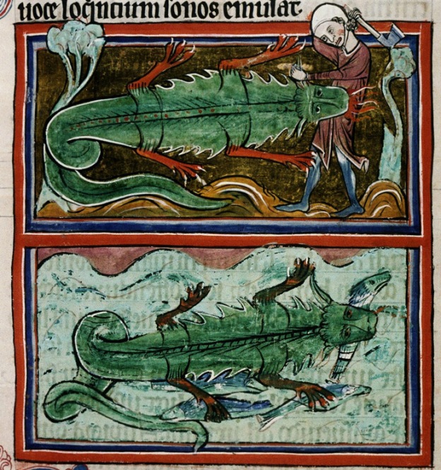 croc Bodleian Library, MS Bodley 764, Folio 24r