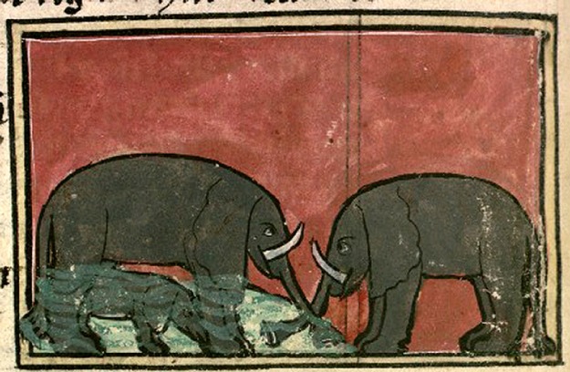 elephant Bibliothèque Nationale de France, lat. 14429, Folio 114v