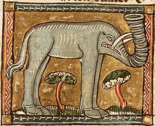 elephant Koninklijke Bibliotheek, KB, KA 16, Folio 54r