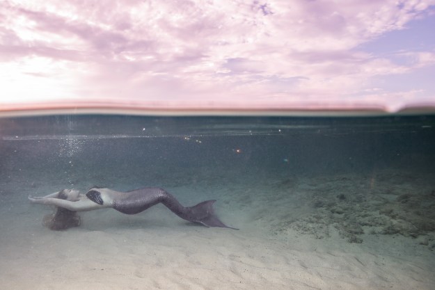 Image (c) Chiara Salomoni 2